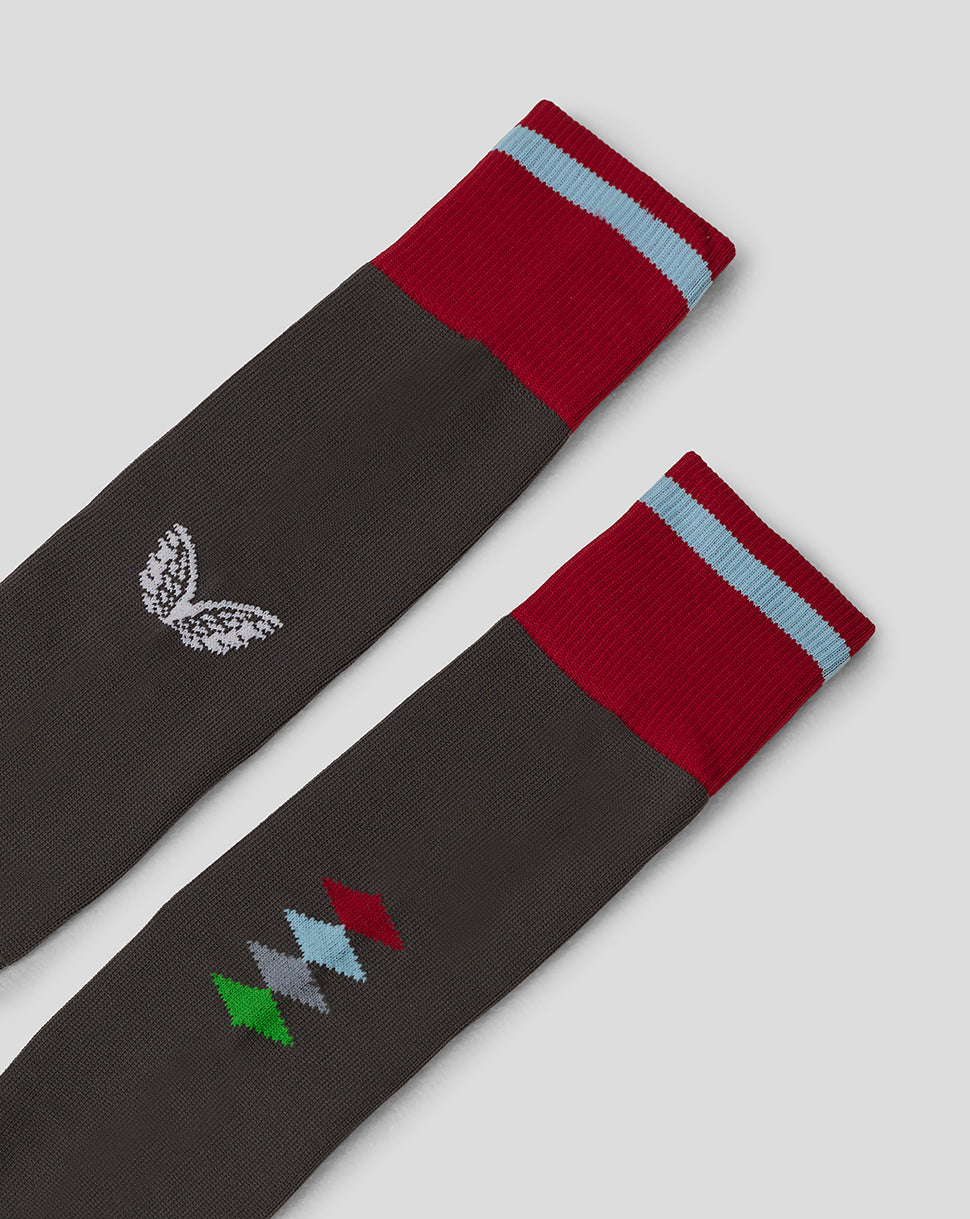23/24 Training Socks