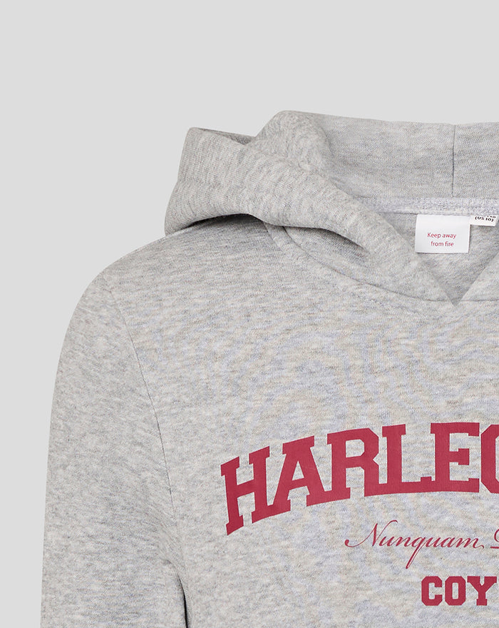 JUNIOR VARSITY HOODIE - GREY/PINK