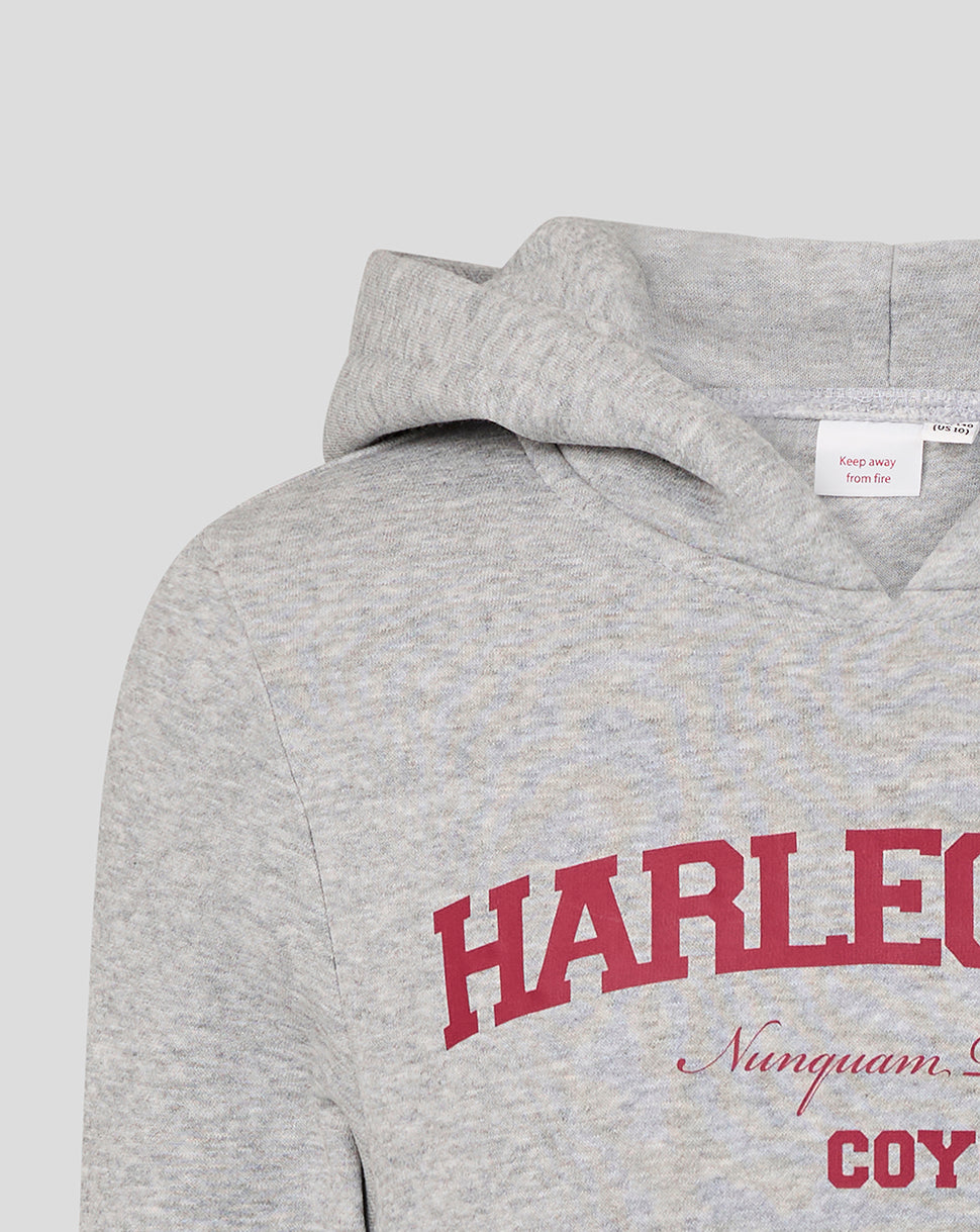 JUNIOR 25/26 VARSITY HOODIE - GREY/PINK