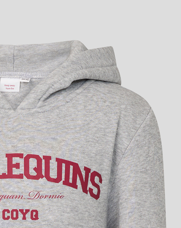 JUNIOR VARSITY HOODIE - GREY/PINK
