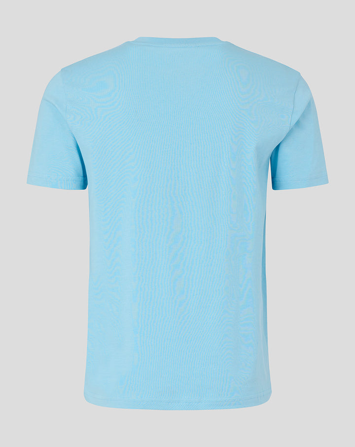 Back view of sky blue men's presentation tee.
