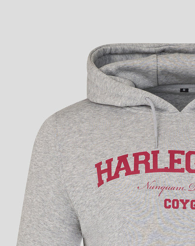 UNISEX 25/26 VARSITY HOODIE - GREY/PINK