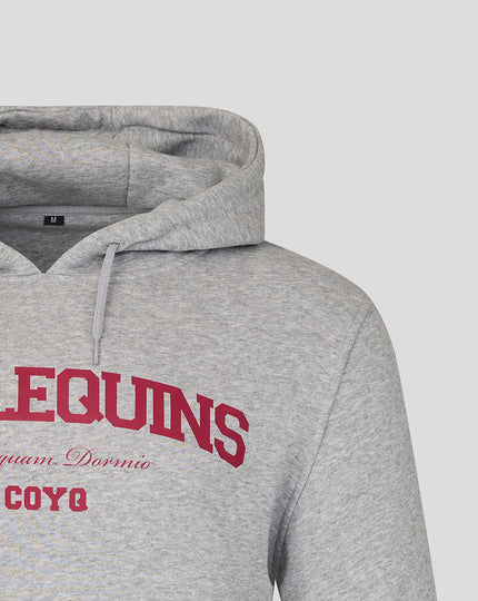 UNISEX 25/26 VARSITY HOODIE - GREY/PINK